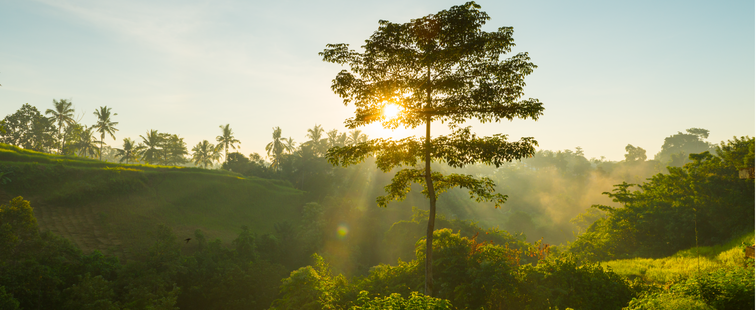 Conservación natural y energía renovable, una innovadora solución para proteger la biodiversidad.  